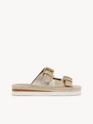 Chloe Glyn Platform Espadril Sandalet Scarlatto | CHE-SR14831