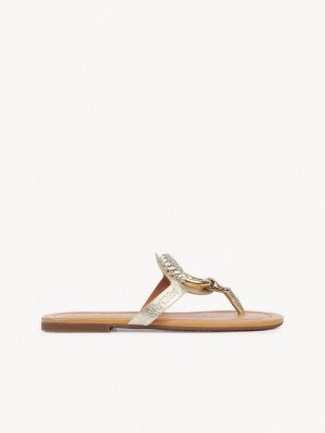 Chloe Hana Flip-flop Düz Ayakkabı Gümüş | CHE-SR14829