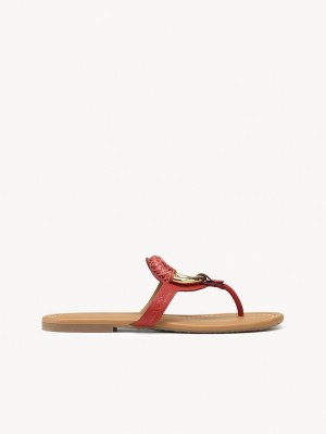 Chloe Hana Flip-flop Düz Ayakkabı Kırmızı | CHE-SR14817