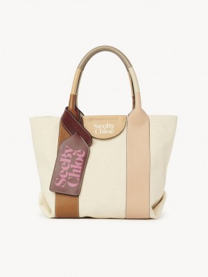 Chloe Laetizia Small Tote Çanta Kahverengi | CHE-SR14710