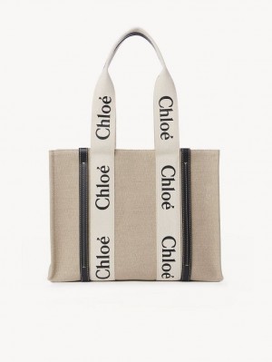 Chloe Medium Woody Tote Çanta Beyaz Mavi | CHE-SR13356