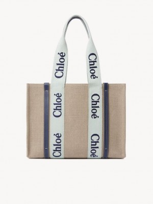 Chloe Medium Woody Tote Çanta Yeşil Mavi | CHE-SR13365