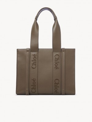 Chloe Medium Woody Tote Çanta Yeşil | CHE-SR13340