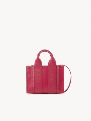 Chloe Mini Woody Çapraz Askılı Çanta Pembe | CHE-SR13549