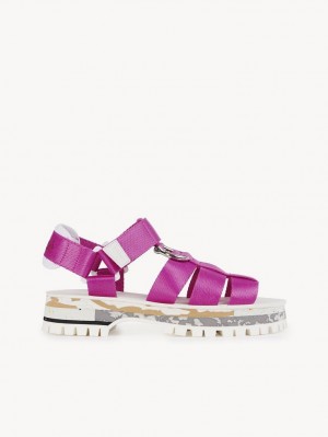 Chloe Nikie Active Düz Sandalet Pembe | CHE-SR14177