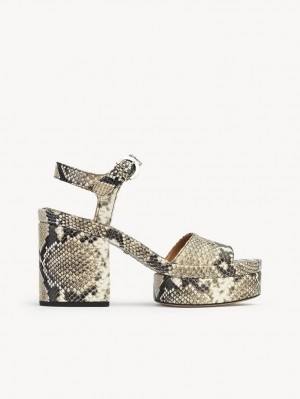 Chloe Odina High-heel Sandalet Gri | CHE-SR14172