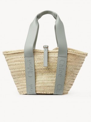 Chloe Sense Medium Basket Tote Çanta Yeşil | CHE-SR13383