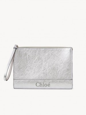 Chloe Sense Zippered Kese Çanta Gümüş | CHE-SR14323