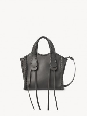 Chloe Small Mony Tote Çanta Gri | CHE-SR13398