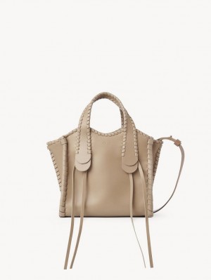 Chloe Small Mony Tote Çanta Kahverengi | CHE-SR13400