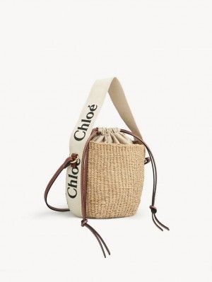 Chloe Small Woody Basket Çapraz Askılı Çanta Beyaz | CHE-SR13609