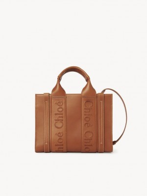 Chloe Small Woody Tote Mini Çanta Kahverengi | CHE-SR13688