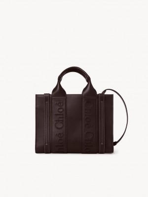 Chloe Small Woody Tote Çanta Koyu | CHE-SR13375