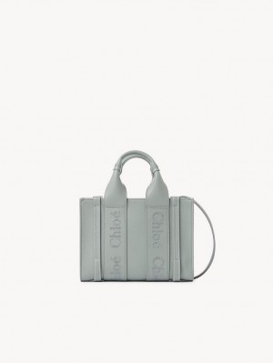 Chloe Woody Tote 1 Mini Çanta Yeşil | CHE-SR13697