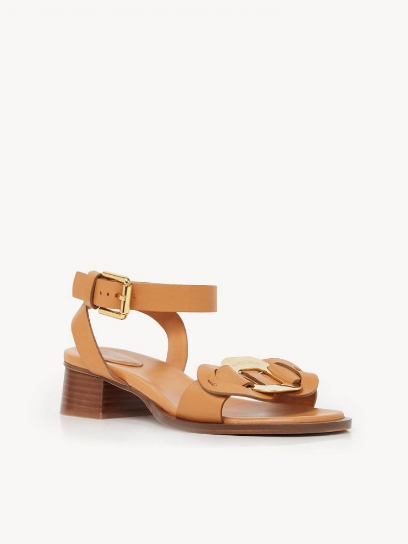 Chloe Chany High-heel Sandalet Kahverengi | CHE-SR14828