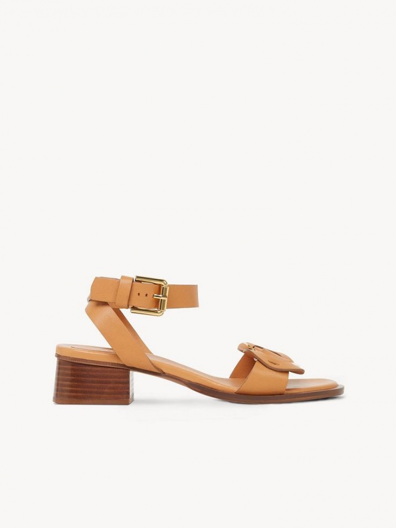 Chloe Chany High-heel Sandalet Kahverengi | CHE-SR14828