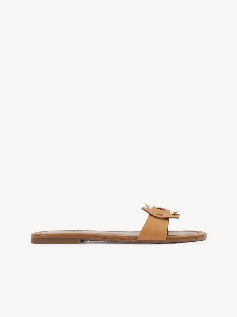 Chloe Chany Mule Düz Ayakkabı Kahverengi | CHE-SR14837