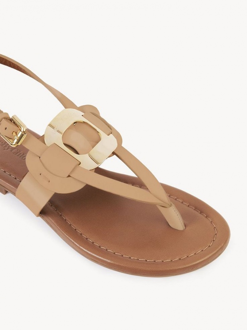 Chloe Chany Sandalet Kahverengi | CHE-SR14824