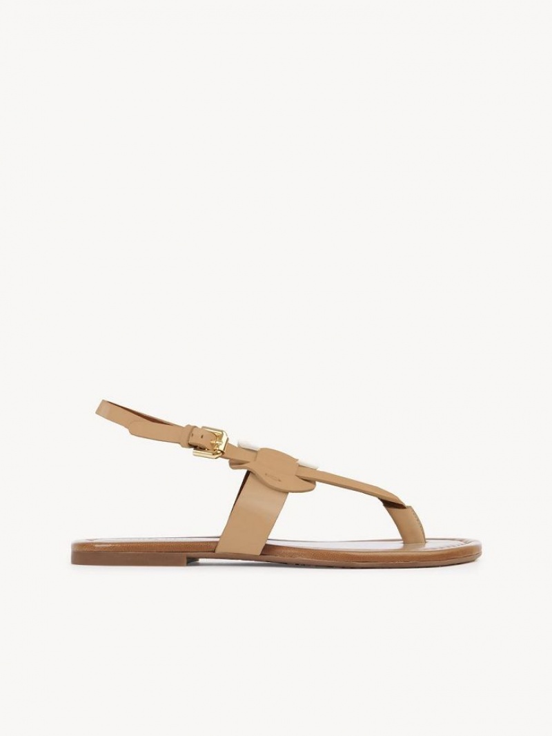 Chloe Chany Sandalet Kahverengi | CHE-SR14824