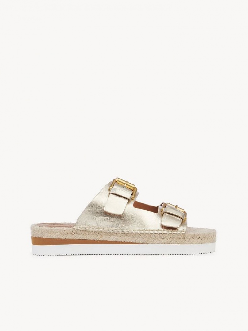 Chloe Glyn Platform Espadril Sandalet Gümüş | CHE-SR14802