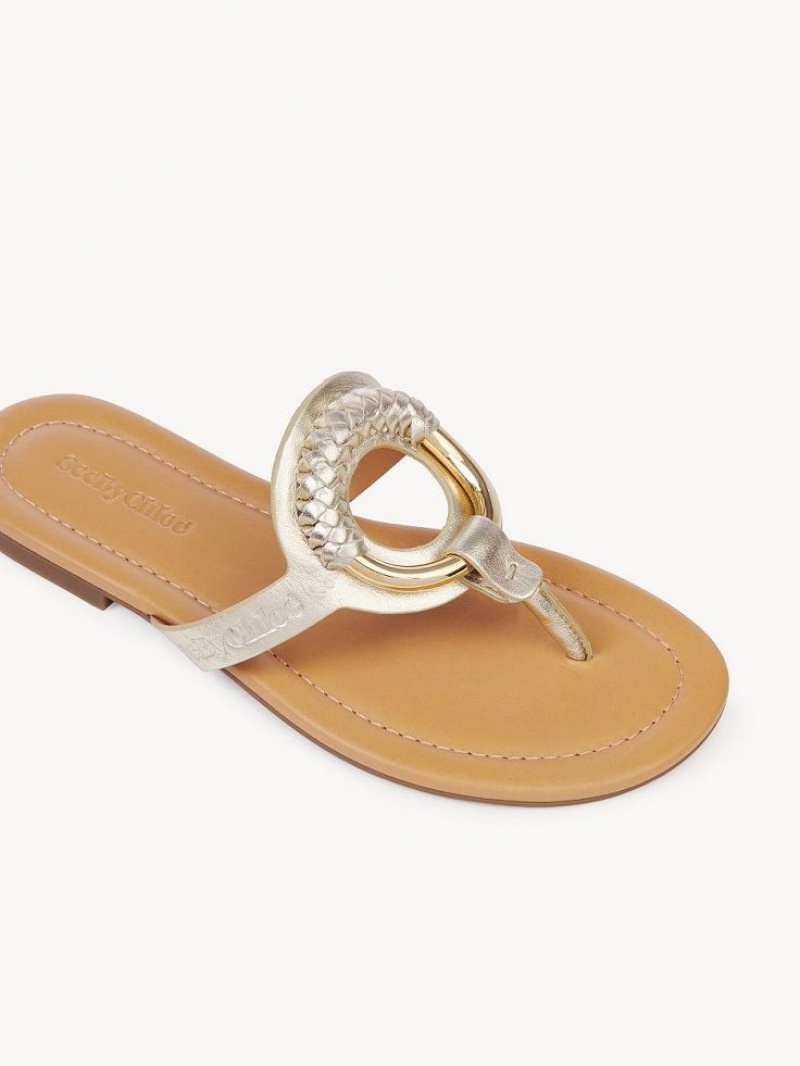 Chloe Hana Flip-flop Düz Ayakkabı Gümüş | CHE-SR14829