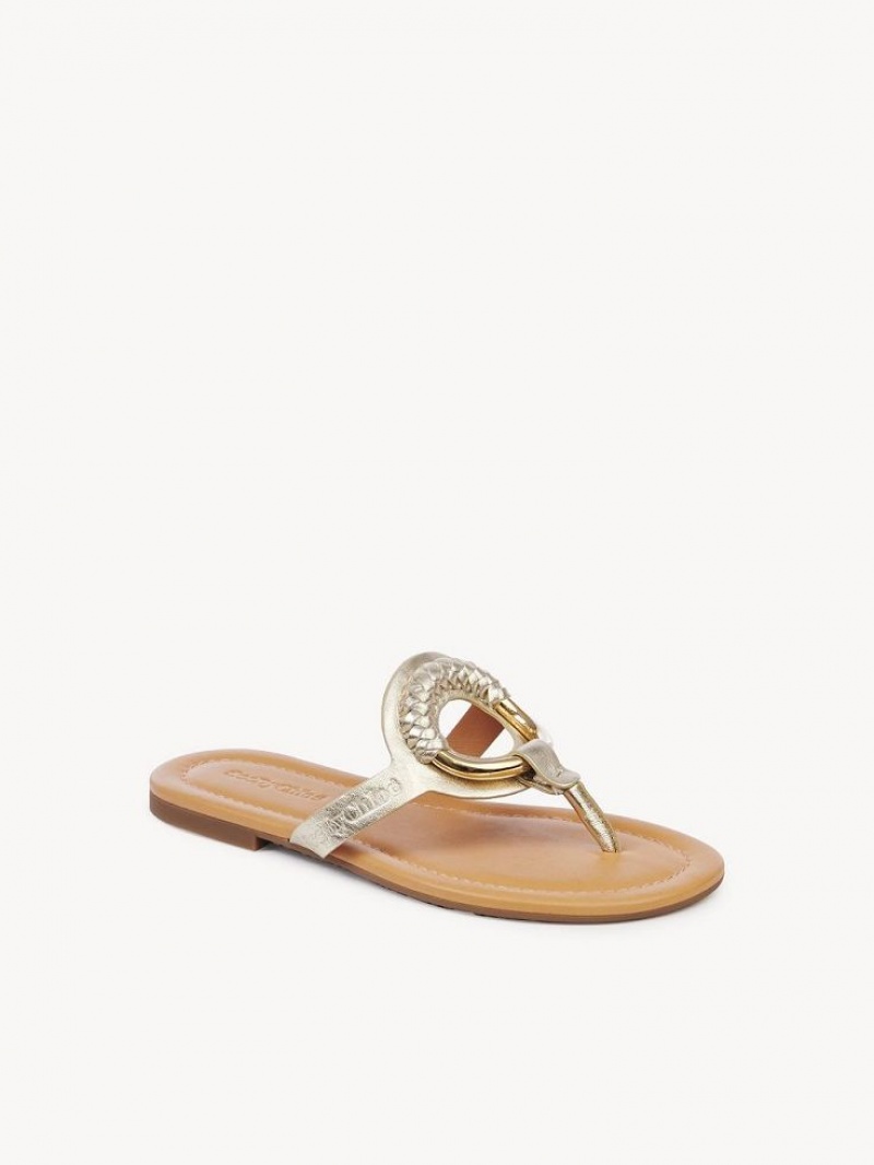 Chloe Hana Flip-flop Düz Ayakkabı Gümüş | CHE-SR14829