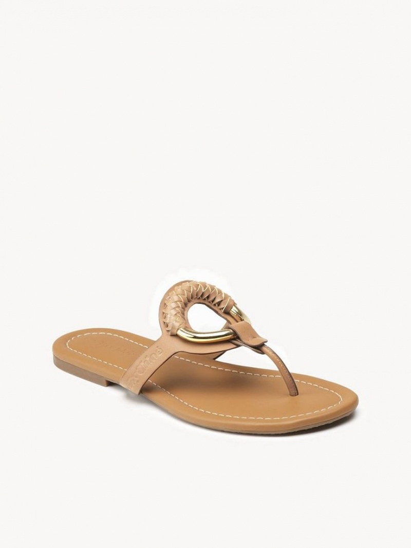 Chloe Hana Flip-flop Düz Ayakkabı Kahverengi | CHE-SR14818