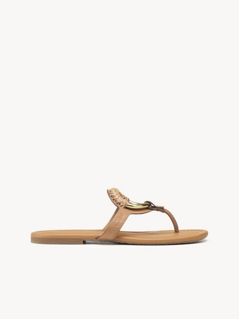 Chloe Hana Flip-flop Düz Ayakkabı Kahverengi | CHE-SR14818