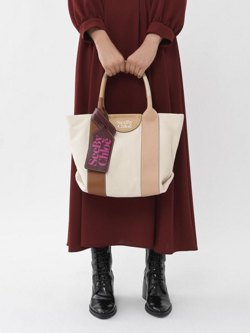 Chloe Laetizia Small Tote Çanta Kahverengi | CHE-SR14710
