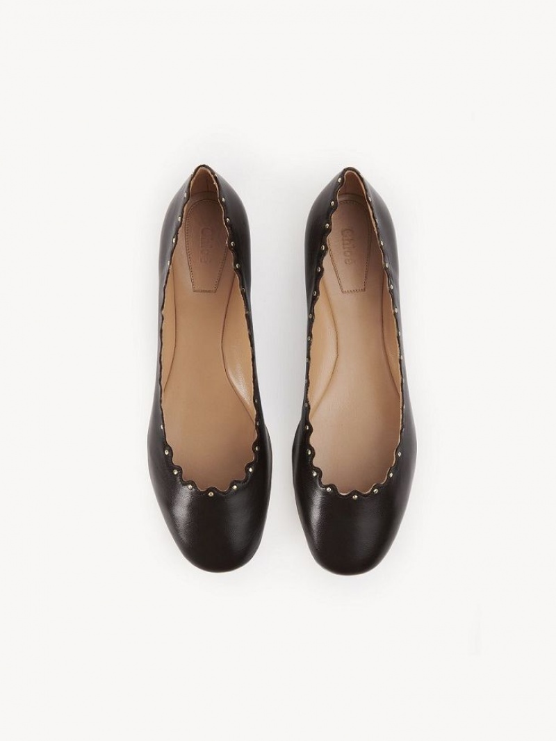 Chloe Lauren Ballet Flat Çikolata | CHE-SR14253