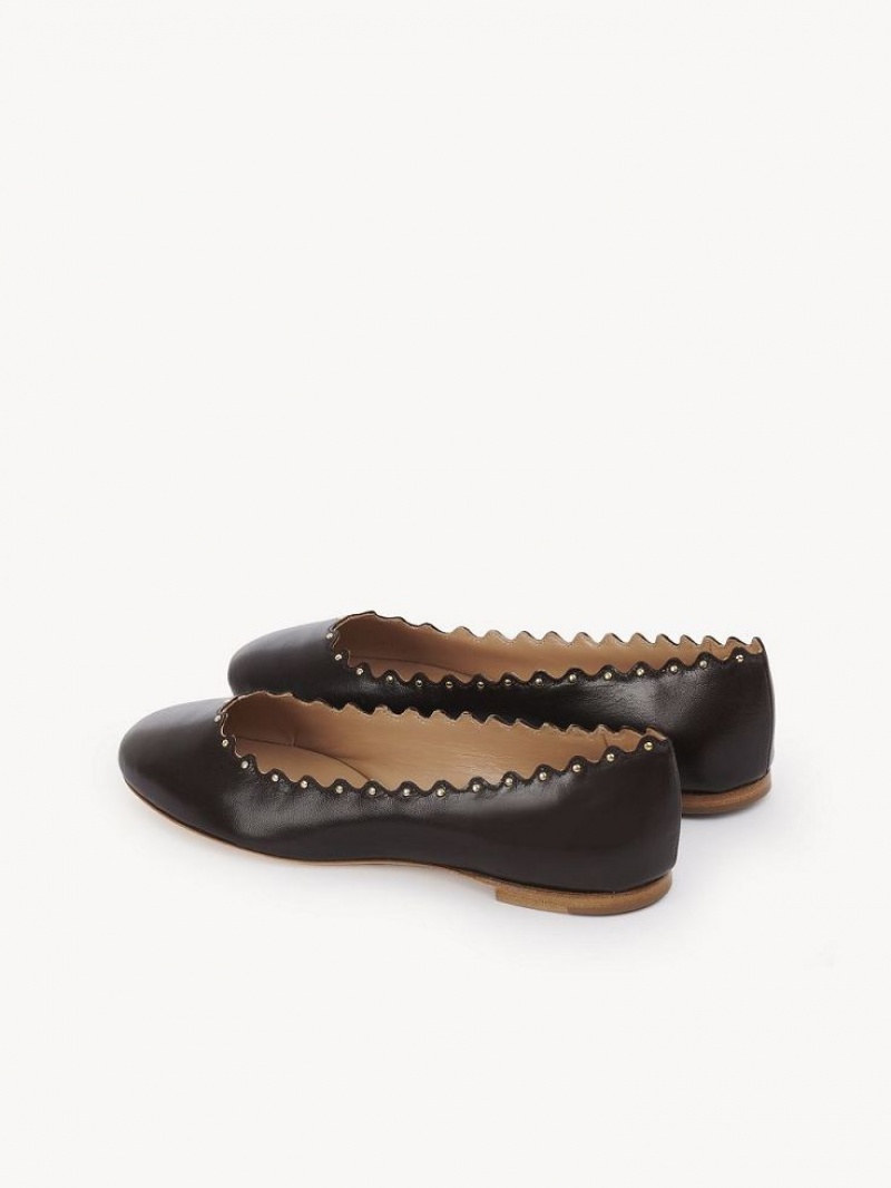 Chloe Lauren Ballet Flat Çikolata | CHE-SR14253