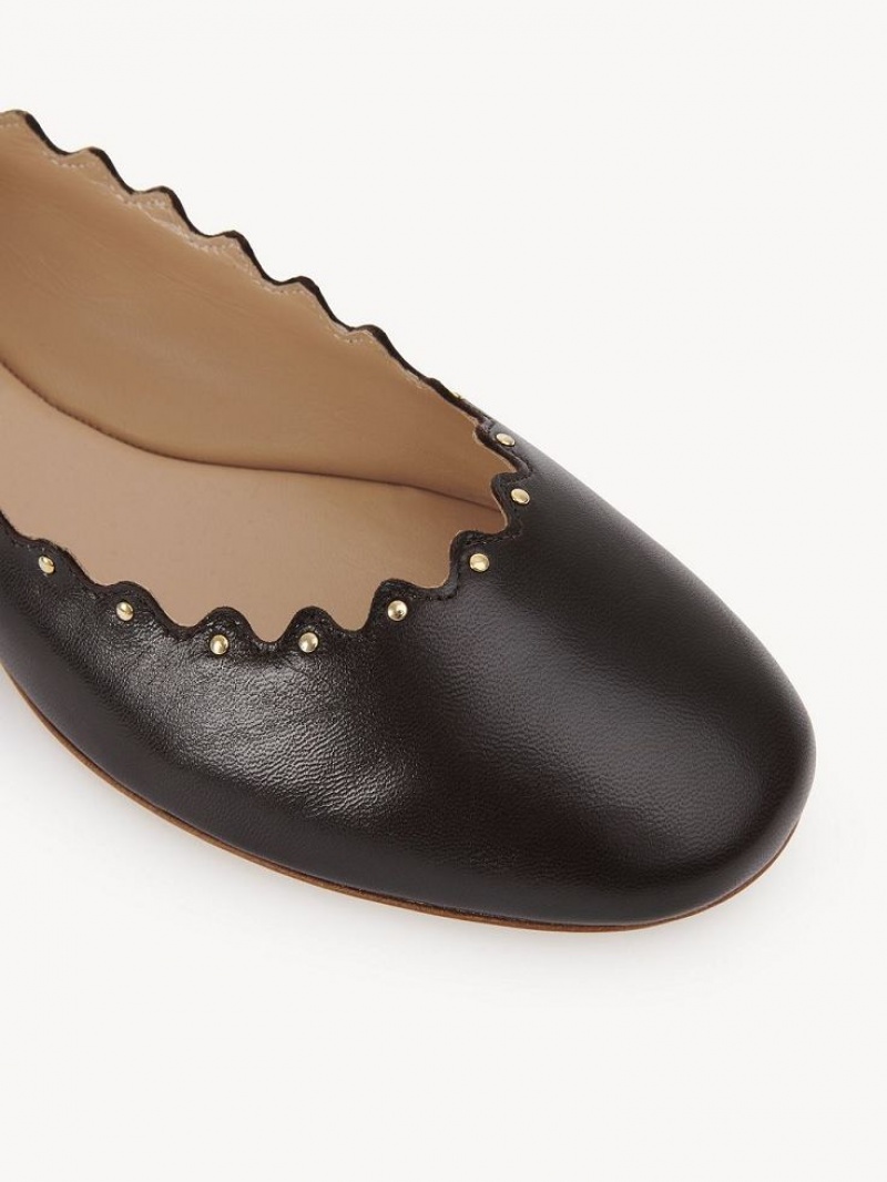 Chloe Lauren Ballet Flat Çikolata | CHE-SR14253