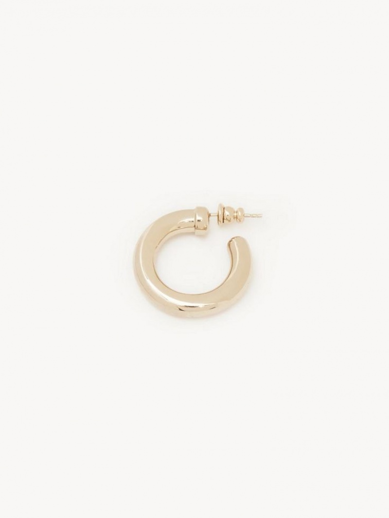 Chloe Maura Hoops Küpe Altın | CHE-SR14359