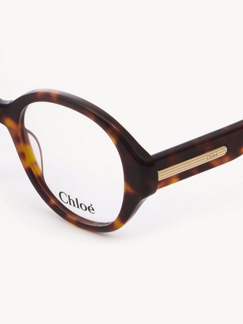 Chloe Mirtha Gözlük Havana | CHE-SR14583