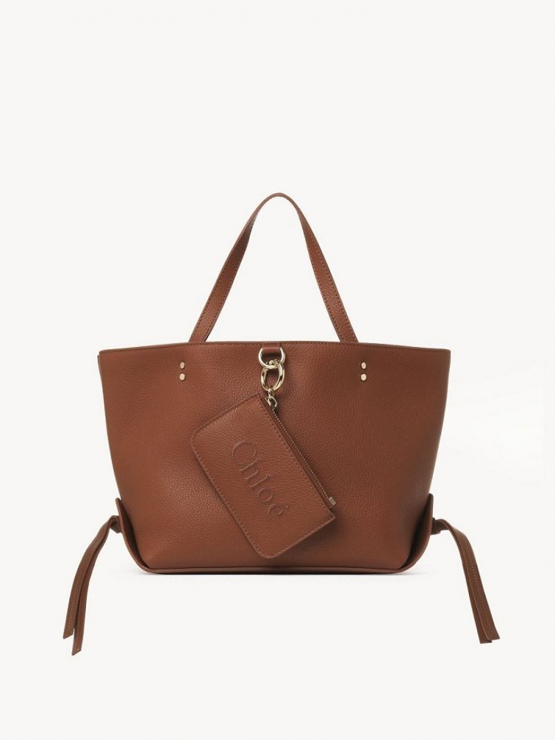 Chloe Sense Small East-west Tote Çanta Kahverengi | CHE-SR13326