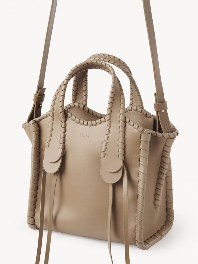 Chloe Small Mony Tote Çanta Kahverengi | CHE-SR13400