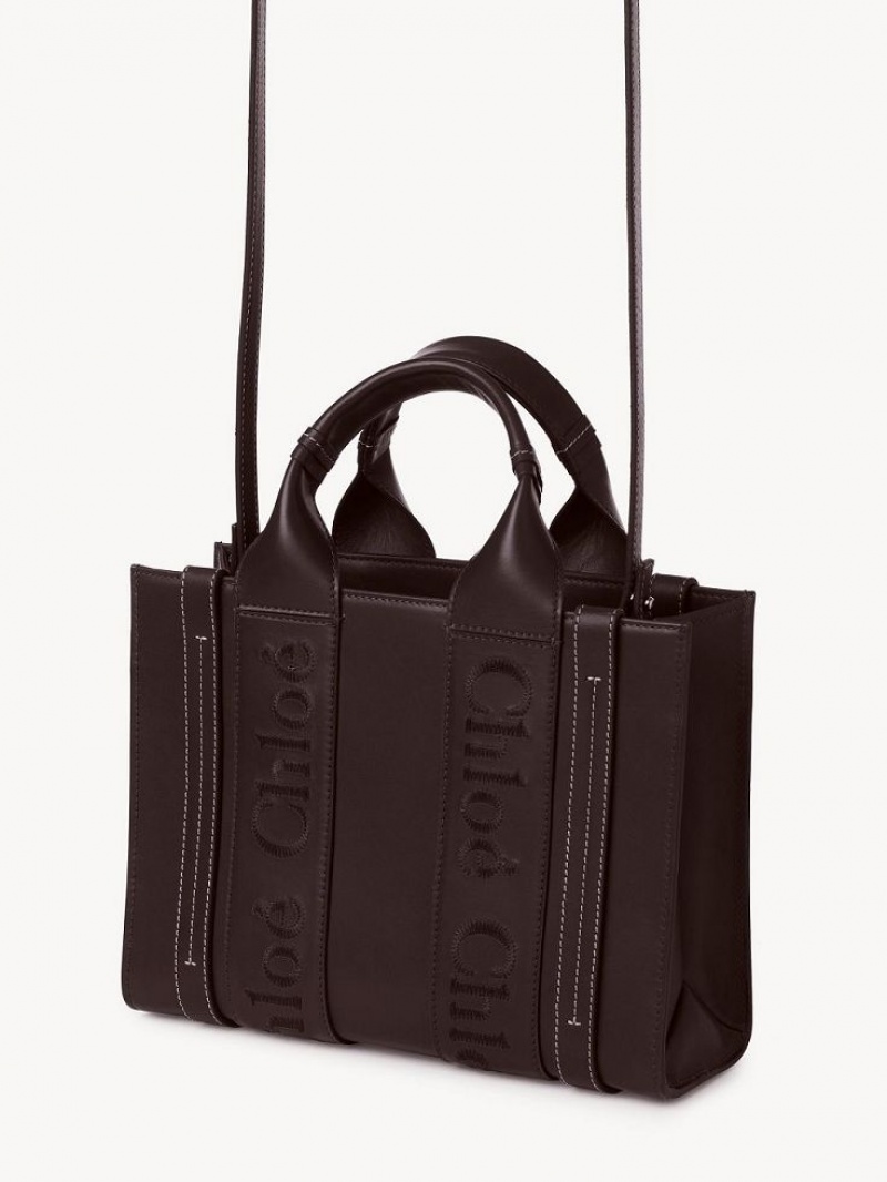 Chloe Small Woody Tote Çanta Koyu | CHE-SR13375