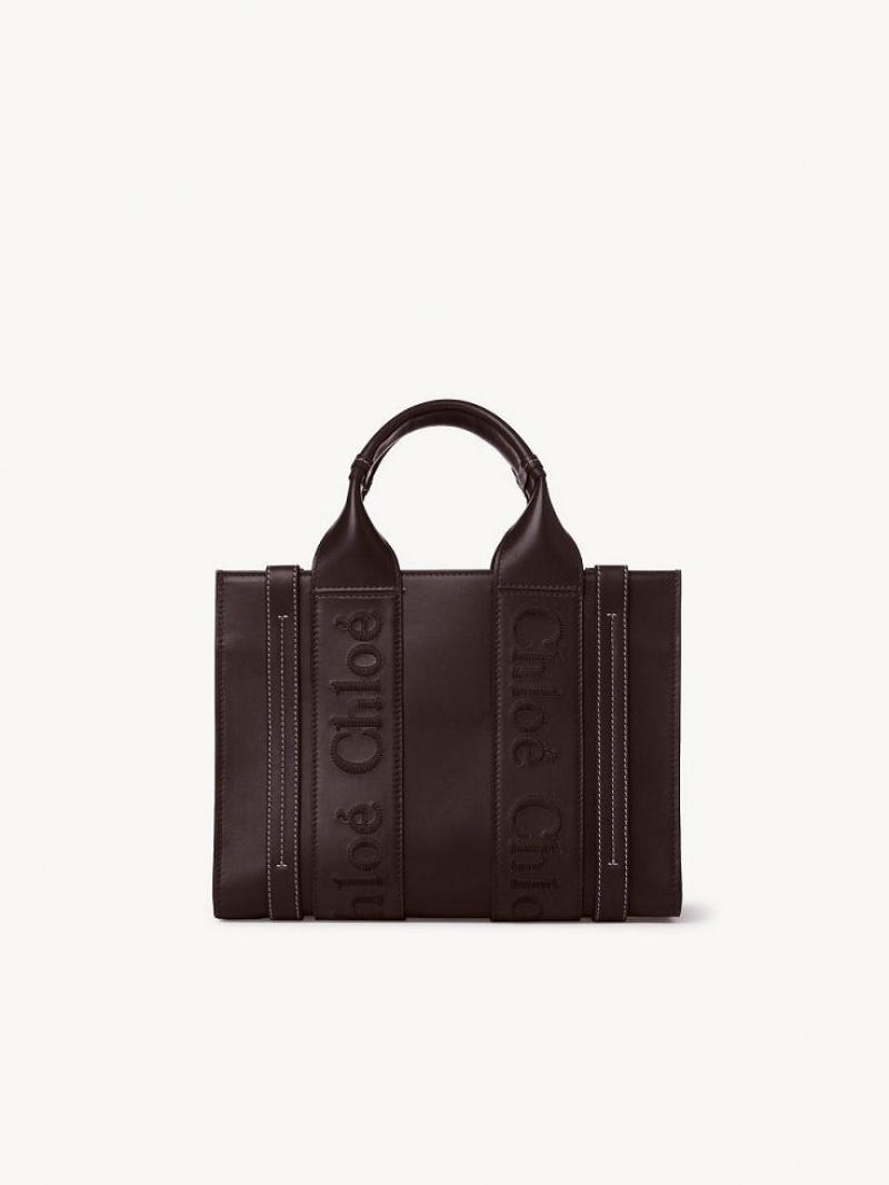 Chloe Small Woody Tote Çanta Koyu | CHE-SR13375