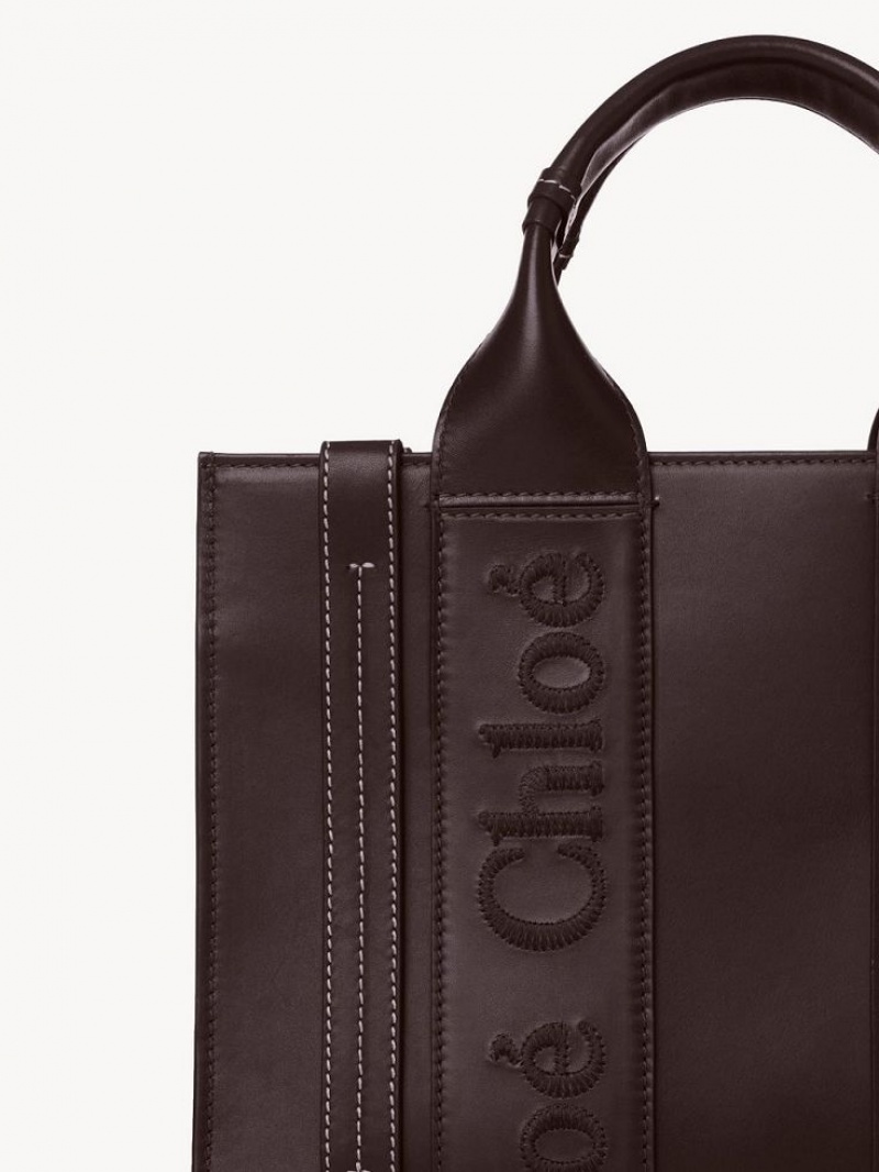 Chloe Small Woody Tote Çanta Koyu | CHE-SR13375