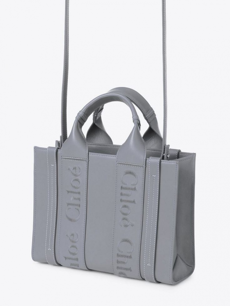 Chloe Small Woody Tote Çanta Mavi | CHE-SR13322