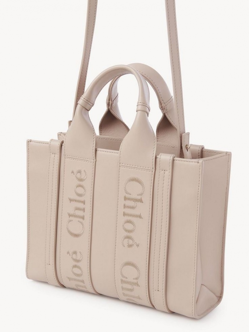 Chloe Small Woody Tote Çanta Pembe | CHE-SR13374