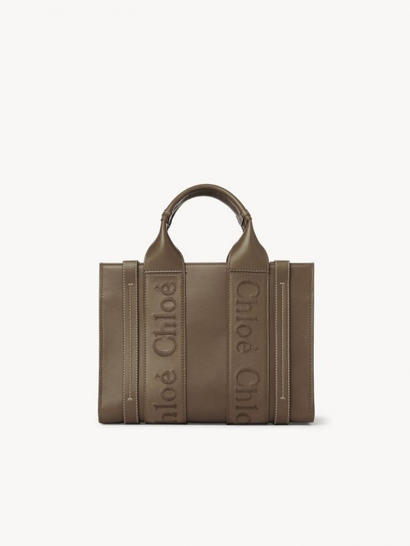 Chloe Small Woody Tote Çanta Yeşil | CHE-SR13339