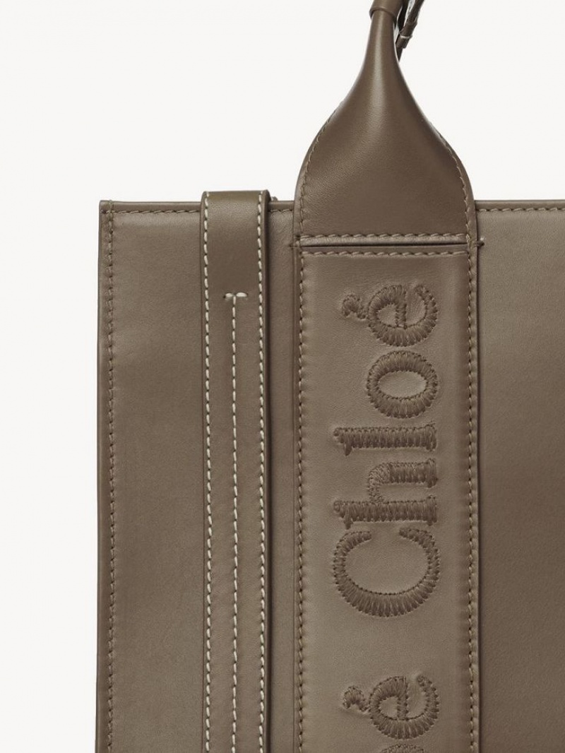 Chloe Small Woody Tote Çanta Yeşil | CHE-SR13339