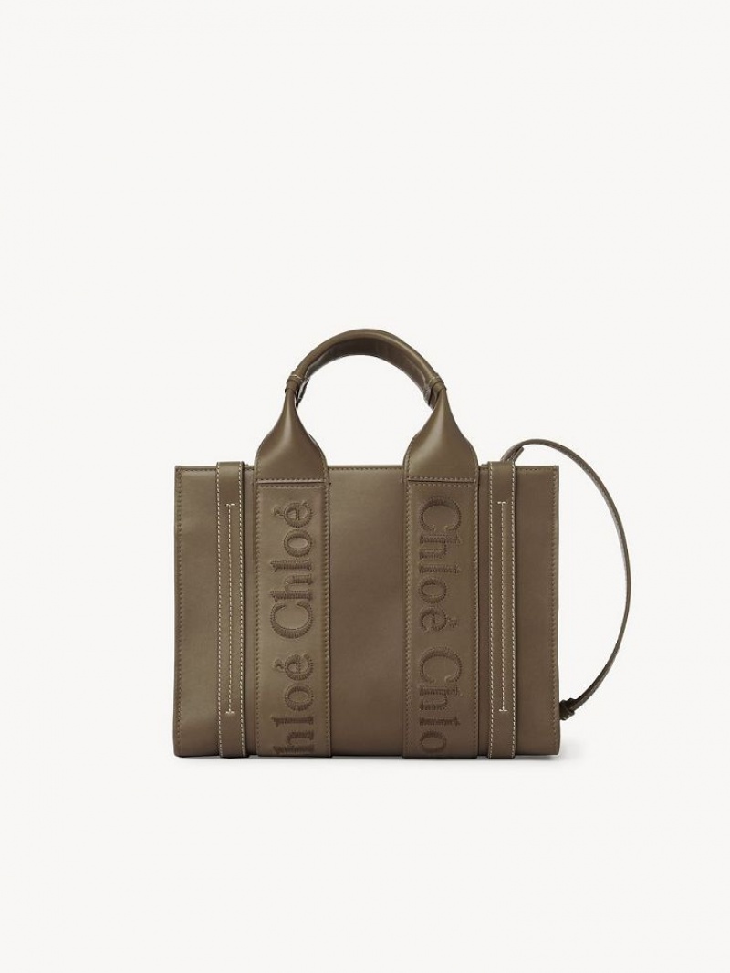 Chloe Small Woody Tote Çanta Yeşil | CHE-SR13339