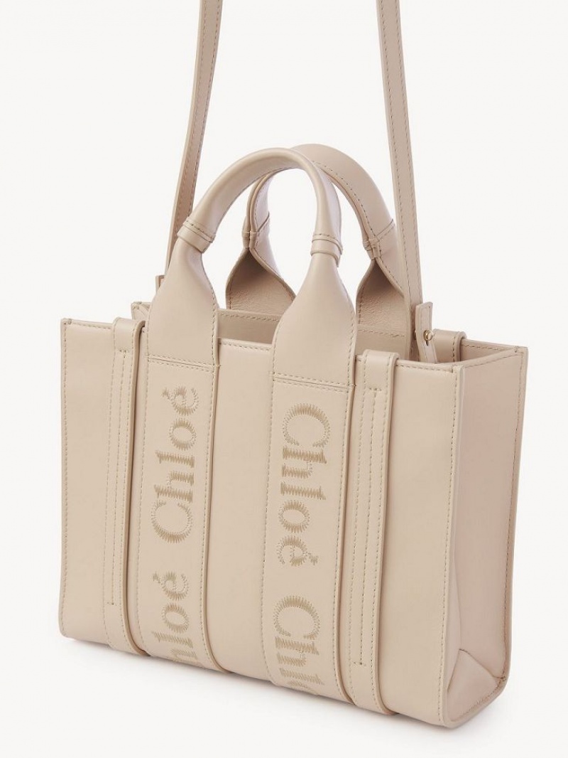 Chloe Small Woody Çapraz Askılı Çanta Pembe | CHE-SR13556